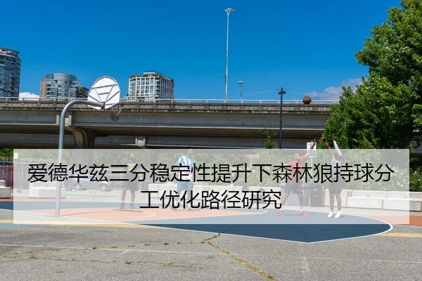 爱德华兹三分稳定性提升下森林狼持球分工优化路径研究